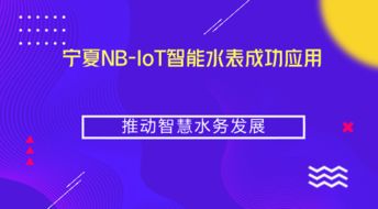 寧夏NB-IoT智能水表成功應(yīng)用，推動(dòng)智慧水務(wù)與智能水務(wù)系統(tǒng)開發(fā)