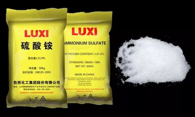 魯西集團化肥板塊 綠色轉型中的綠色競爭力