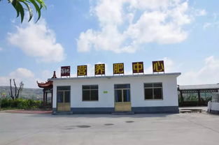 中國有機30年 百桃蜜桃的品牌實踐與反思