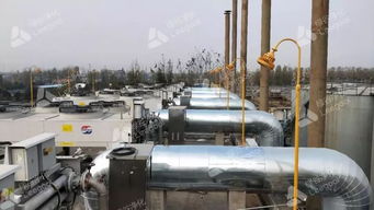 某化肥廠沼氣清潔能源發電機組尾氣NOx治理項目案例分析